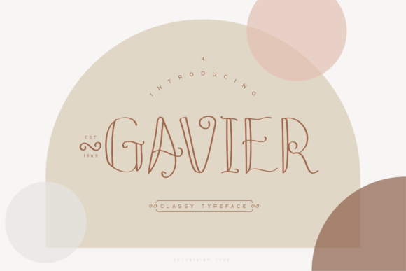 Gavier Display Font for Stunning Web Design Projects
